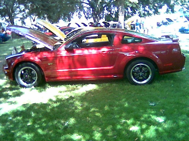 Pam Neiffer - 2006  Mustang GT