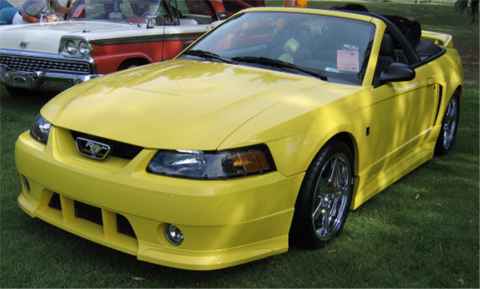 Pam Neiffer - 2001 Mustang Roush